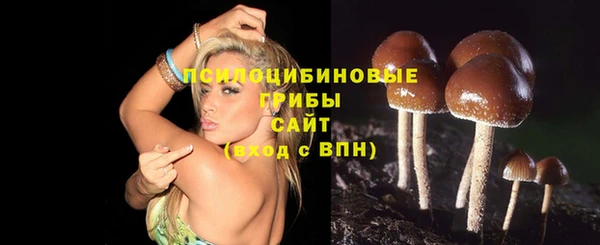 прущая мука Грязи