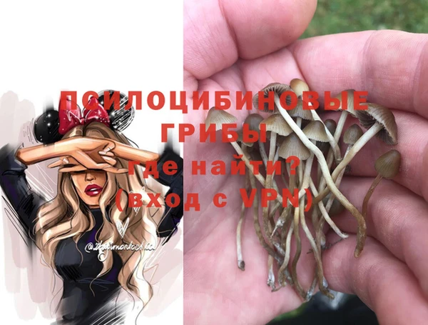 соль ск Грязовец