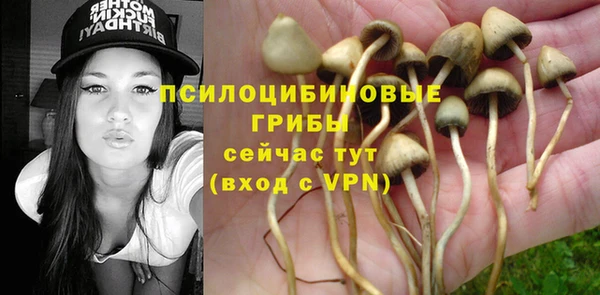 амф Белокуриха